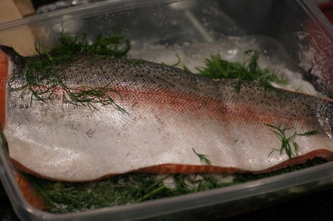 Gravlax Step 5
