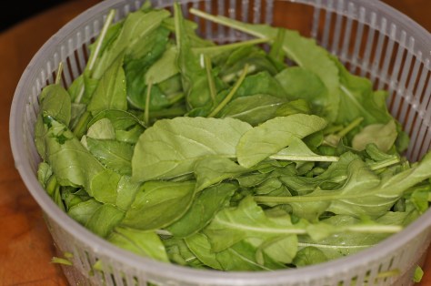 Clean araugula