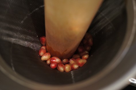 Juicing the seeds