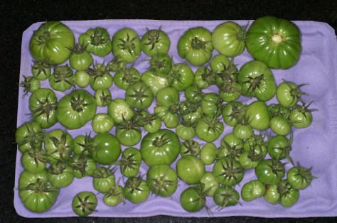 © 2012 REMCooks.com