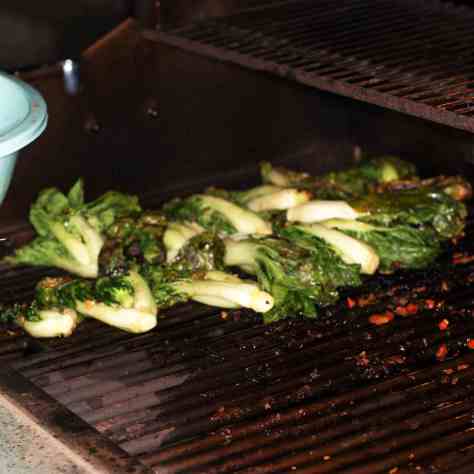 © 2013 REMCooks.com