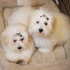 © 2014 REMCooks.com