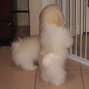 © 2014 REMCooks.com