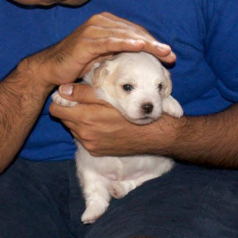 © 2014 REMCooks.com