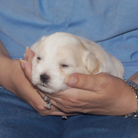 © 2014 REMCooks.com