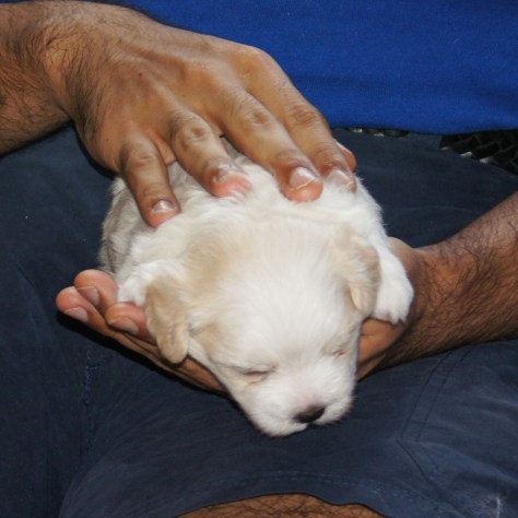 © 2014 REMCooks.com