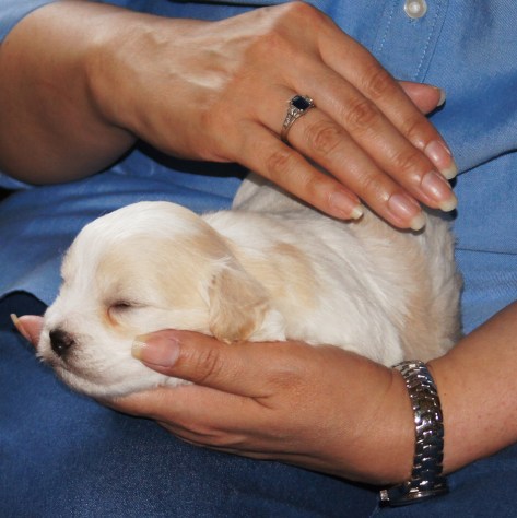 © 2014 REMCooks.com