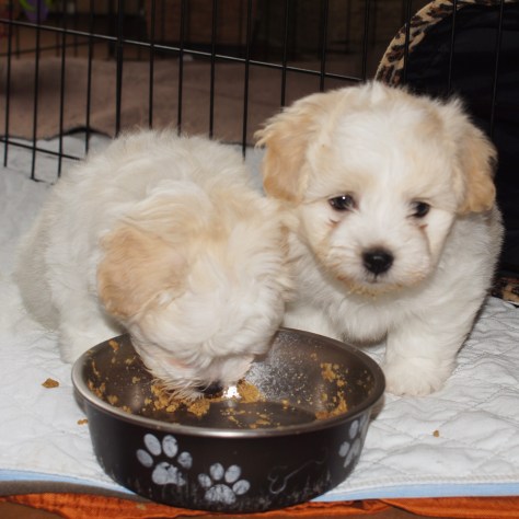 © 2014 REMCooks.com