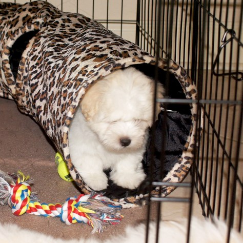 © 2014 REMCooks.com