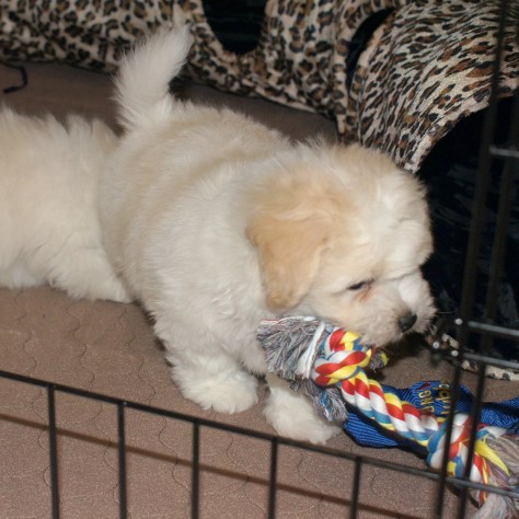 © 2014 REMCooks.com