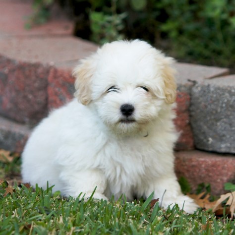 © 2014 REMCooks.com - Jack trying to figure out what to do next