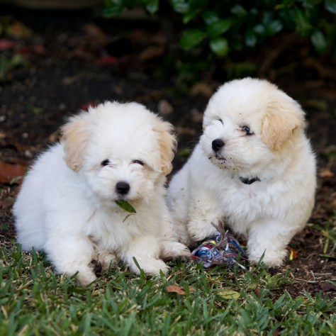 © 2014 REMCooks.com