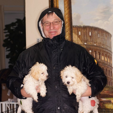© 2014 REMCooks.com - the little fluff balls all wet. It's amazing how scrawny they look when they're wet