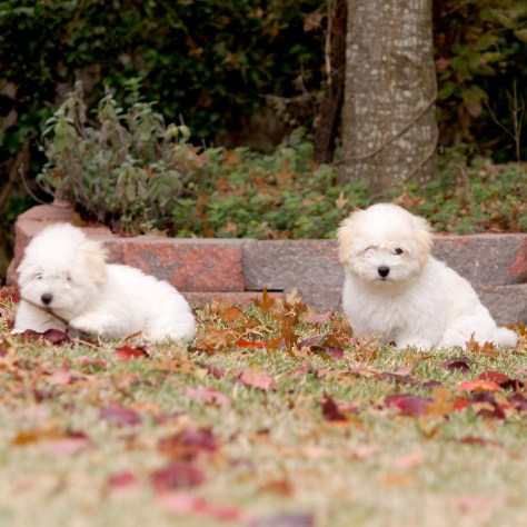 © 2014 REMCooks.com