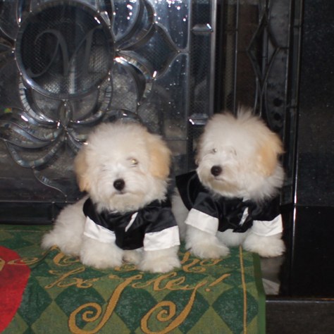 © 2014 REMCooks.com