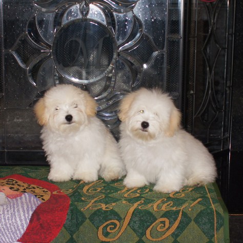 © 2014 REMCooks.com