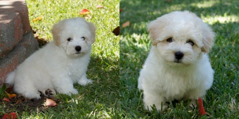 © 2014 REMCooks.com