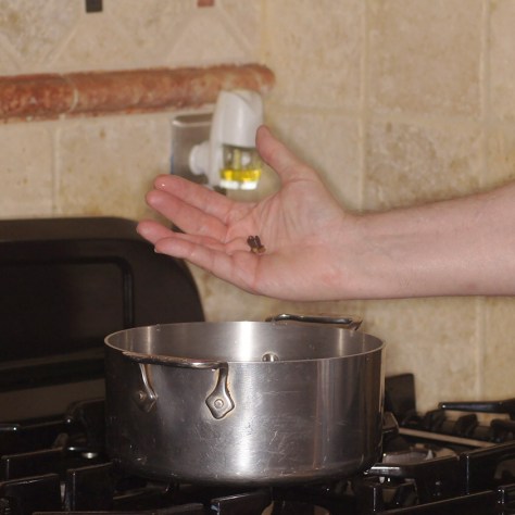 © 2015 REMCooks.com